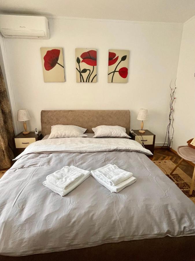 Apartment Danube View Τουλσέα Εξωτερικό φωτογραφία